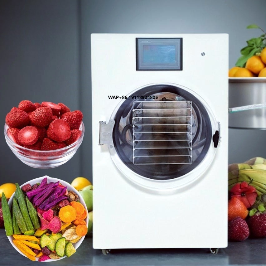 Commercial Food Dehydrator - Ticari Endüstriyel Mini Dondurucu İngiltere Liofilizatör
