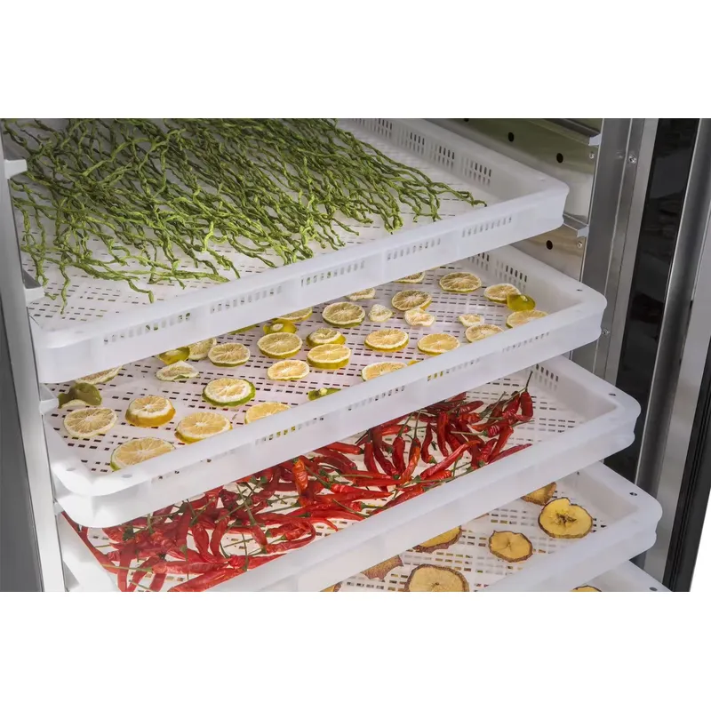 35 ila 55 Derece Kurutma Makin - Commercial Food Dehydrator incelemesi ve fiyatı