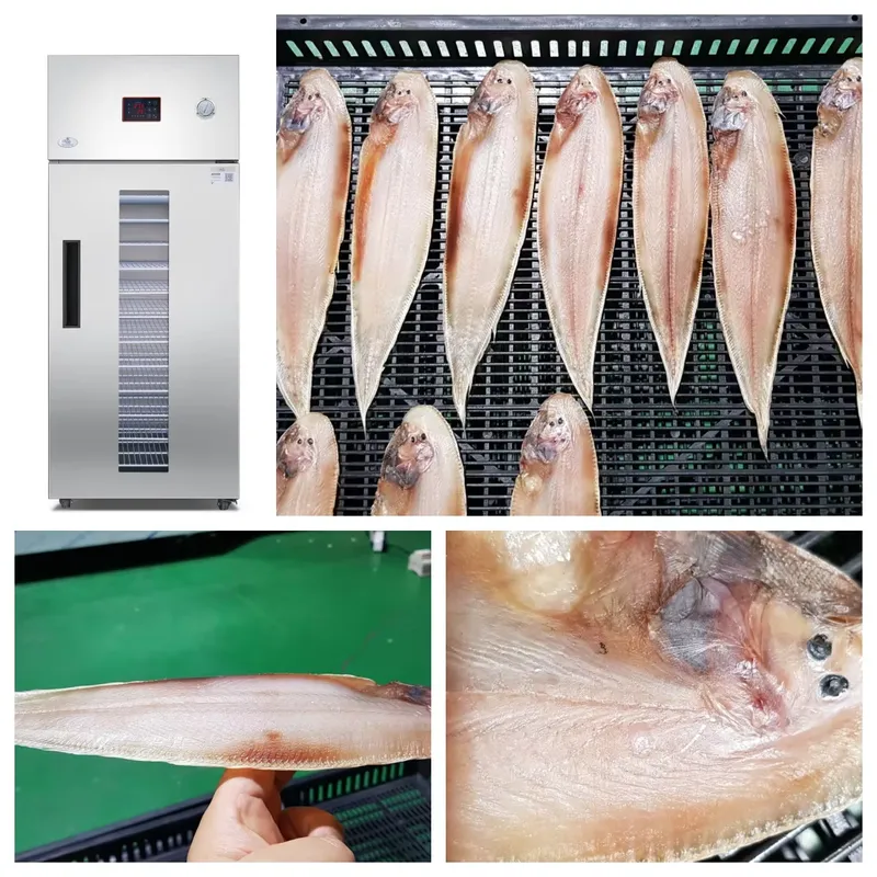 35 ila 55 Derece Kurutma Makin - Commercial Food Dehydrator incelemesi ve fiyatı